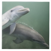 水中2頭のイルカ タイル (正面)