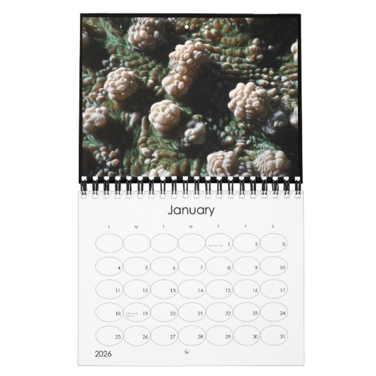 水中2010カレンダー カレンダー (1月 2026)