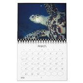 水中2010カレンダー カレンダー (3月 2026)