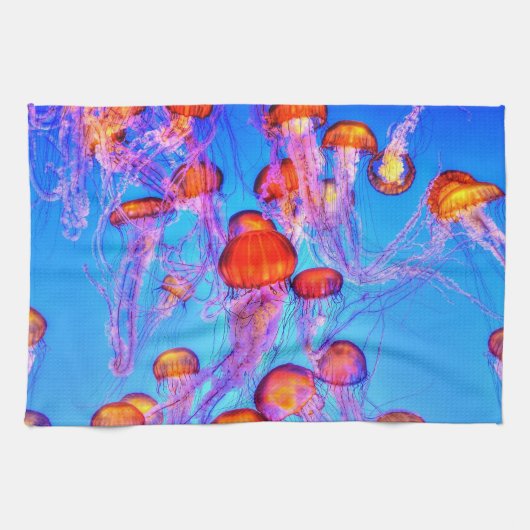 水中22キッチンタオル キッチンタオル (横)