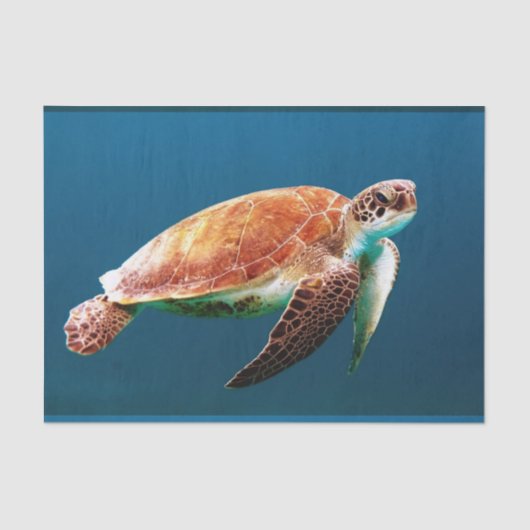 水中24 薄葉紙 (正面)