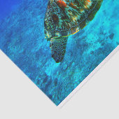 水中30 薄葉紙 (詳細)