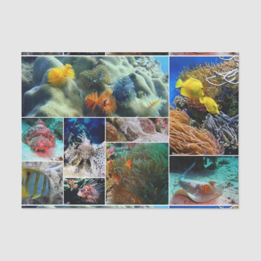 水中36 薄葉紙 (正面)