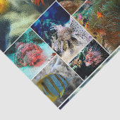 水中36 薄葉紙 (詳細)