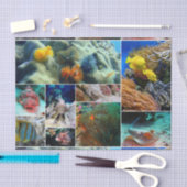 水中36 薄葉紙 (クラフト)