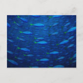水中4 ポストカード (正面)