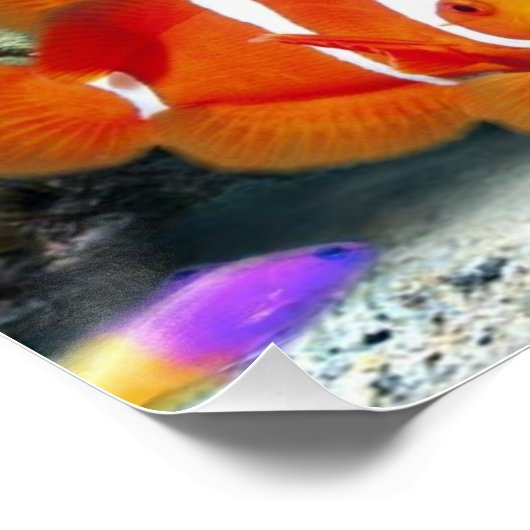 水中 ポスター (コーナー)