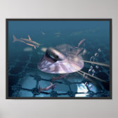 水中 ポスター (正面)