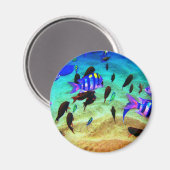 水中 マグネット (正面/裏面)