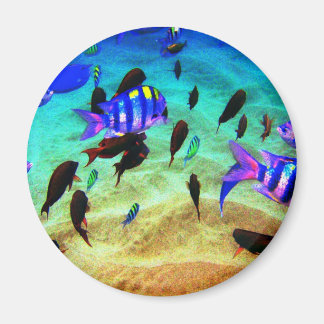 水中 マグネット