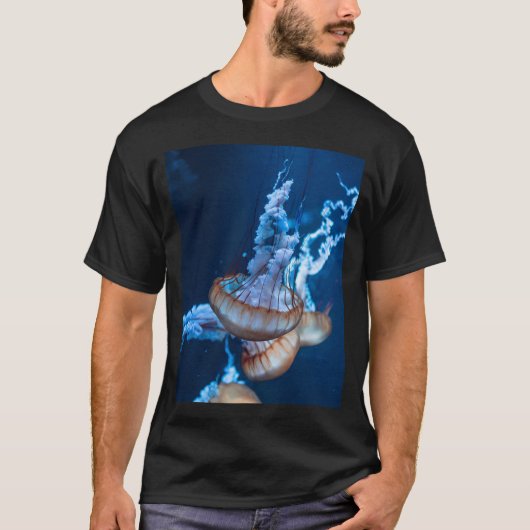 水中 Tシャツ (正面)