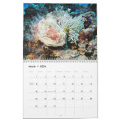 水中Cozumel 2011 カレンダー (3月 2026)