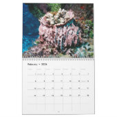 水中Cozumel 2011 カレンダー (2月 2026)