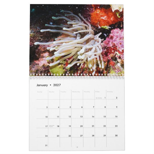 水中Cozumel 2011 カレンダー (1月 2027)