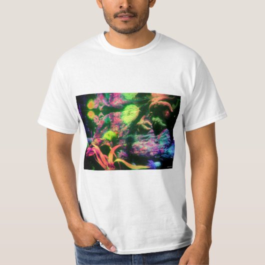 水中Tシャツ Tシャツ (正面)