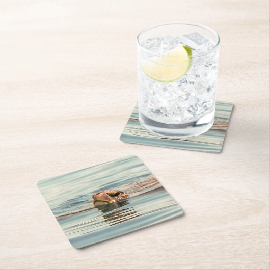 水亀の海野生動物の芸術の上に頭 スクエアペーパーコースター (インサイチュ)