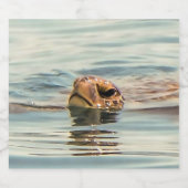 水亀の海野生動物の芸術の上に頭 ビールラベル (シングルラベル)