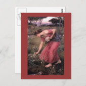 水仙が草原で花を摘む ポストカード (正面/裏面)