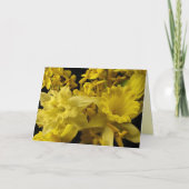 水仙とフォルシシアの母の日 カード (正面)