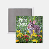 水仙と野生のウサギのマグネット マグネット (正面/裏面)