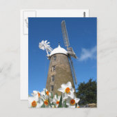 水仙と風車 ポストカード (正面/裏面)