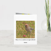 水仙と鳥のノートカード カード (裏面)