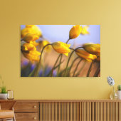 水仙のクローズアップ キャンバスプリント (インサイチュ (リビング))