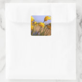 水仙のクローズアップ スクエアシール (バッグ)