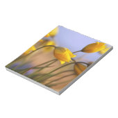 水仙のクローズアップ ノートパッド (回転)