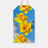 水仙のグループ金ゴールドメダルの花 ギフトタグ (裏面)