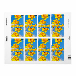 水仙のグループ金ゴールドメダルの花 ラベル