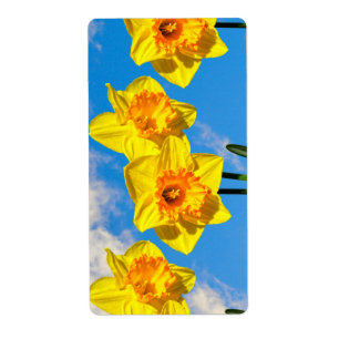 水仙のグループ金ゴールドメダルの花 ラベル