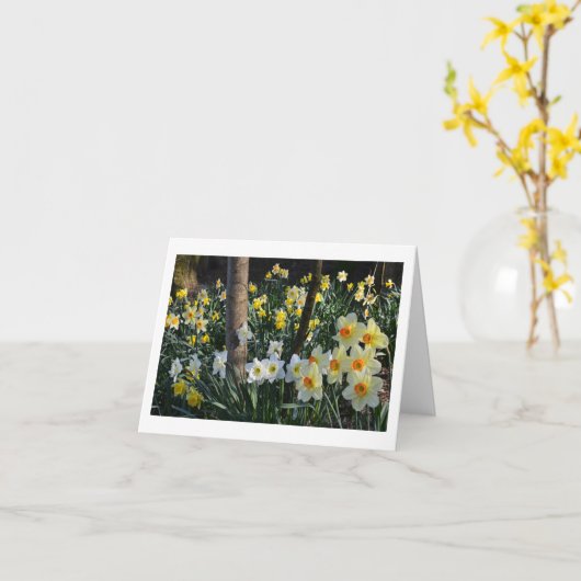 水仙のデール:イギリス, チェシャー カード (黄色い花)