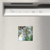 水仙の中の白い鴨 マグネット (インサイチュ (食洗機))