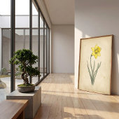 水仙の植物画アンティーク風壁画 ポスター