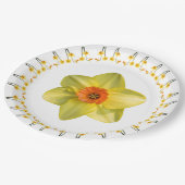 水仙の狂想曲。 ペーパープレート (アングル)