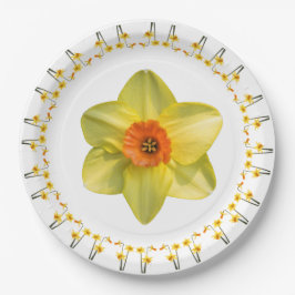 水仙の狂想曲。 ペーパープレート