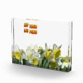 水仙の白と黄色の顧客。フォトブロック フォトブロック (右)