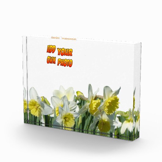 水仙の白と黄色の顧客。フォトブロック フォトブロック (右)