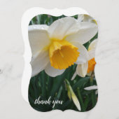 水仙の花のサンキューカード サンキューカード (正面/裏面)