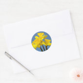 水仙の花ステッカー 黄色い花 青空 ラウンドシール (封筒)