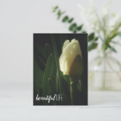 水仙の花写真美しいライフフレーズ ポストカード (スタンド正面)