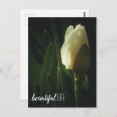 水仙の花写真美しいライフフレーズ ポストカード (正面/裏面)