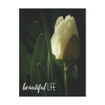 水仙の花写真美しいライフフレーズ