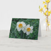 水仙の花 カード (黄色い花)