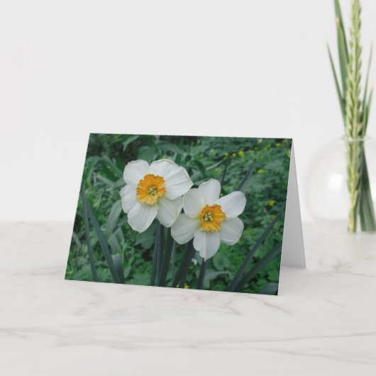 水仙の花 カード (正面)