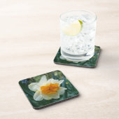 水仙の花 コースター (右側)