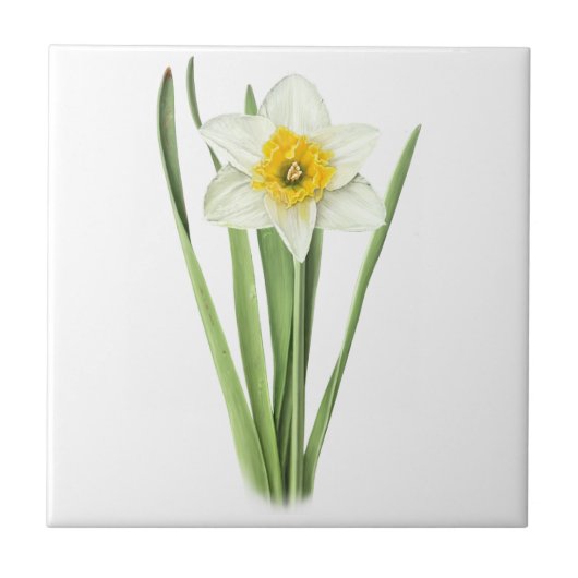 水仙の花 タイル (正面)