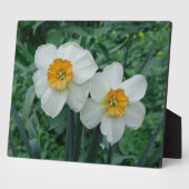水仙の花 フォトプラーク (側面)