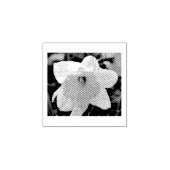 水仙の花 ラバースタンプ (インプリント)